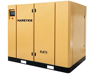 Two Stage Fixed Speed Screw Compressor