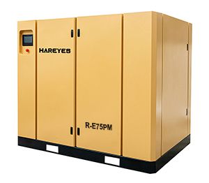 Vertical Two Stage Permanent Magnet VSD Screw Compressor