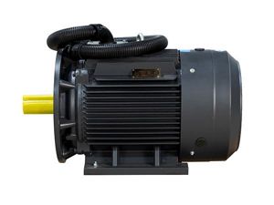 Compressor motor 01