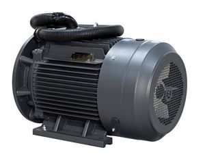 Compressor motor 03