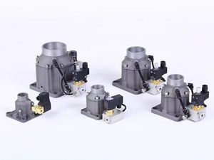 Intake valve